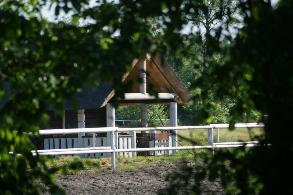 Хостелы Hostel Miłosz Grabowiec-35